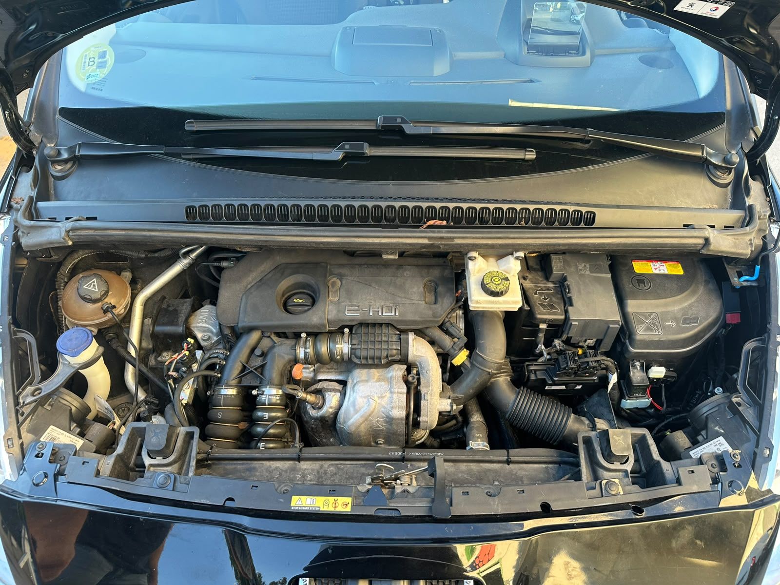PEUGEOT 5008 GLP